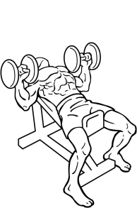 Dumbbell-incline-bench-press-2