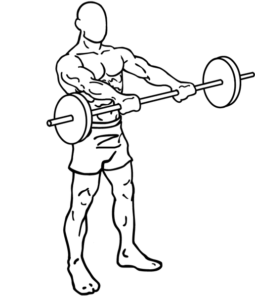 516px-Barbell-front-raises-1