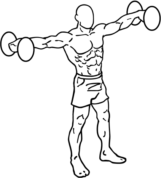 543px-Dumbbell-lateral-raises-1